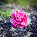 A&K_BLOG_0050
